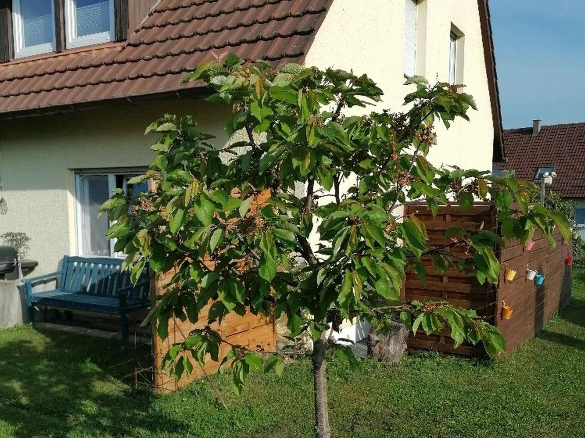Ferienwohnung Kirsch-Kern Moessingen Luaran gambar